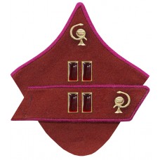 ВОЕНВРАЧ 2-го ранга, ВОЕНВЕТВРАЧ 2-го ранга, войск НКВД, петлицы обр. 1937 г..
